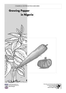 Growing maize commercially in Nigeria: a training manual
