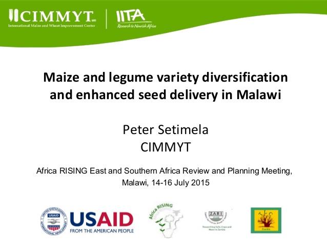 Maize and legume variety diversification and enhanced seed delivery in Malawi