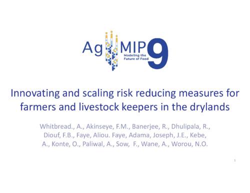 Innovating and scaling risk reducing measures for farmers and livestock keepers in the drylands