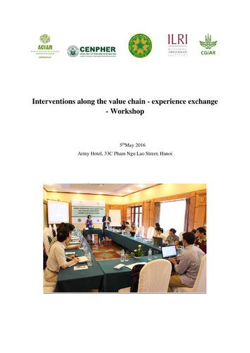 Interventions along the value chain: Experience exchange