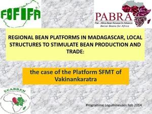 Regional bean platforms in Madagascar, local structures to stimulate bean production and trade: the case of the platform SFMT of Vakinankaratra