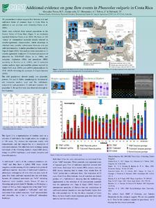 Additional evidence on gene flow events in Phaseolus vulgaris in Costa Rica