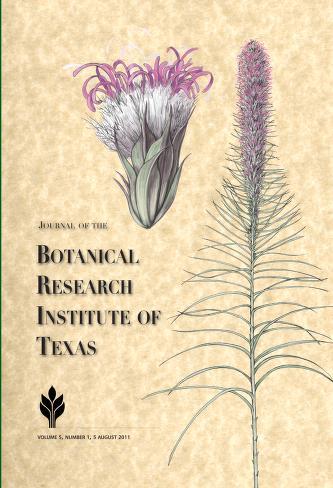 Phaseolus hygrophilus (Leguminosae-Papilionoideae), a new wild bean species from the wet forests of Costa Rica, with notes about section Brevilegumeni