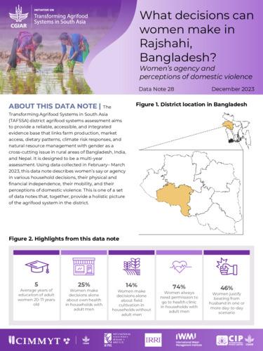 What decisions can women make in Rajshahi, Bangladesh? Women’s agency and perceptions of domestic violence