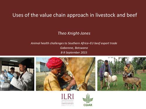 Uses of the value chain approach in livestock and beef