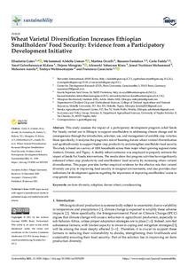 Wheat varietal diversification increases Ethiopian smallholders’ food security: Evidence from a participatory development initiative