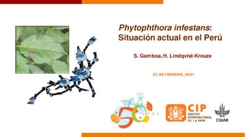 Phytophthora infestans: Situación actual en el Perú