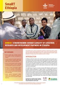 Strengthening gender capacity of livestock research and development partners in Ethiopia