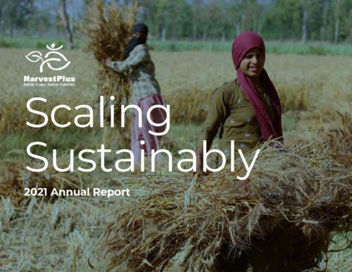 Scaling Sustainably: HarvestPlus 2021 annual report