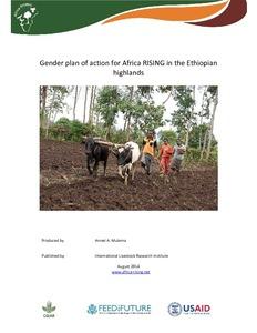 Gender plan of action for Africa RISING in the Ethiopian highlands