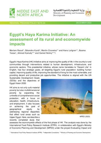 Egypt’s Haya Karima Initiative: An assessment of its rural and economywide impacts