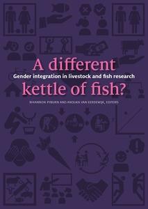 Adding gender transformation into value chain analysis