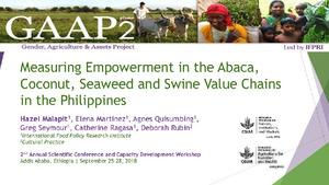 Measuring empowerment in the abaca, coconut, seaweed and swine value chains in the Philippines