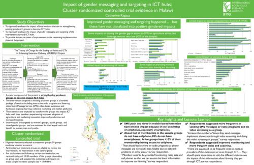 Impact of gender targeting in ICT hubs: Cluster randomized controlled trial in Malawi
