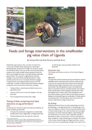 Feeds and forage interventions in the smallholder pig value chain of Uganda