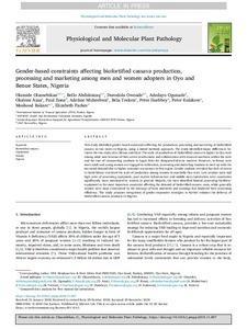 Gender-based constraints affecting biofortified cassava production, processing and marketing among men and women adopters in Oyo and Benue States, Nigeria