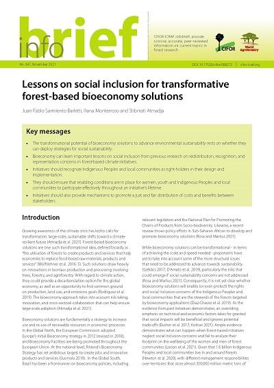 Lessons on social inclusion for transformative forest-based bioeconomy solutions