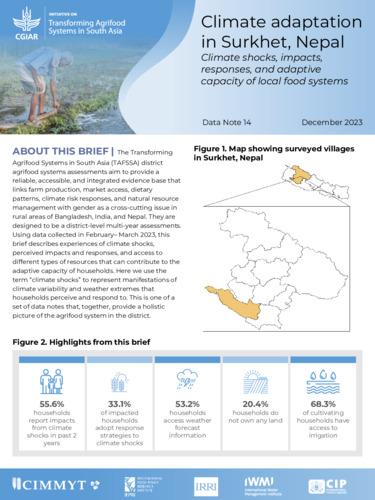 Climate adaptation in Surkhet, Nepal: Climate shocks, impacts, responses, and adaptive capacity of local food systems