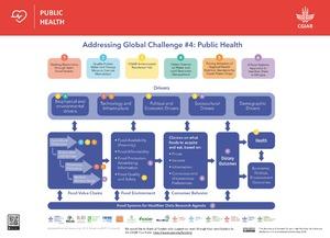 SC8 Share Fair Posters: Securing Public Health