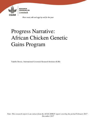 Progress narrative: African Chicken Genetic Gains program