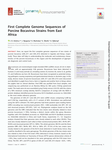 First Complete Genome Sequences of Porcine Bocavirus Strains from East Africa
