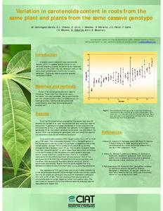 Variation in carotenoids content in roots from the same plant and plants from the same cassava genotype