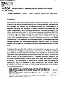 Current status of rice interspecific hybridization at CIAT