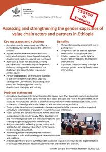 Assessing and strengthening the gender capacities of value chain actors and partners in Ethiopia