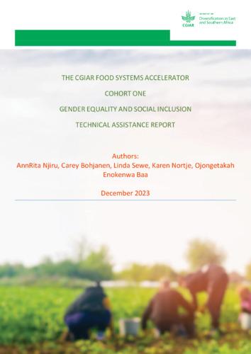 The CGIAR Food Systems Accelerator: cohort one. Gender Equality and Social Inclusion technical assistance report
