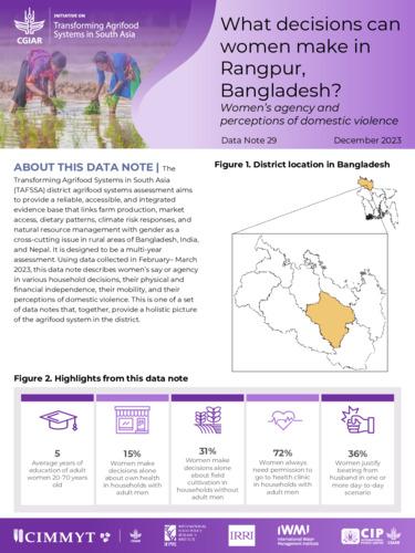 What decisions can women make in Rangpur, Bangladesh? Women’s agency and perceptions of domestic violence
