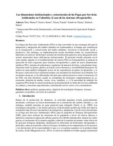 Las dimensiones institucionales y estructurales de los Pagos por Servicios Ambientales en Colombia: el caso de los sistemas silvopastoriles