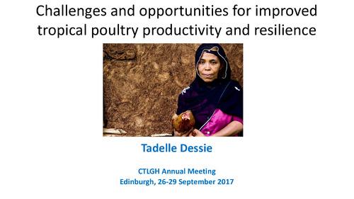 Challenges and opportunities for improved tropical poultry productivity and resilience