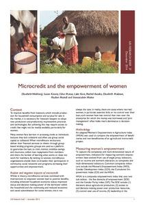 Microcredit and the empowerment of women