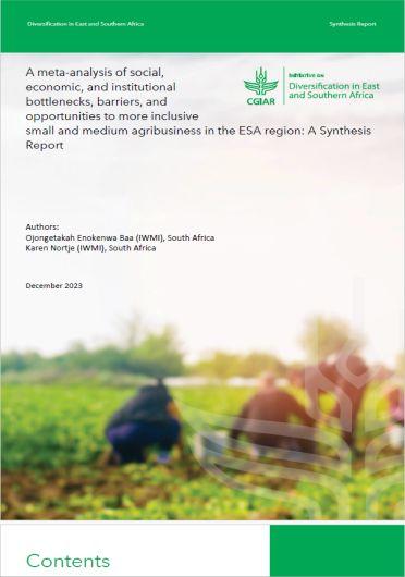 A meta-analysis of social, economic, and institutional bottlenecks, barriers, and opportunities to more inclusive small and medium agribusiness in the ESA Region: a synthesis report