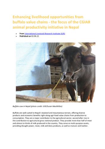 Enhancing livelihood opportunities from buffalo value chains - the focus of the CGIAR animal productivity initiative in Nepal