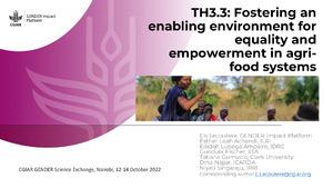 TH3.3: Fostering an enabling environment for equality and empowerment in agri-food systems