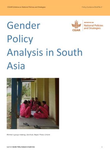 Gender policy analysis in South Asia