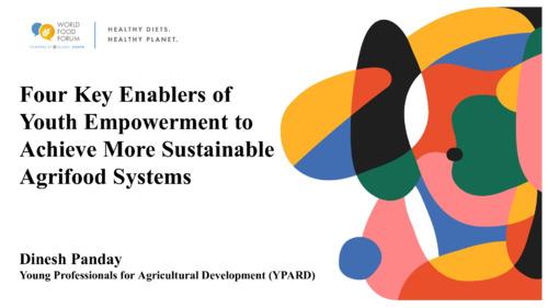 Four key enablers of youth empowerment to achieve more sustainable agri-food systems