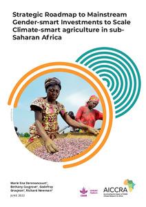 Strategic roadmap on mainstreaming gender-smart investing to scale climate smart agriculture in sub-Saharan Africa