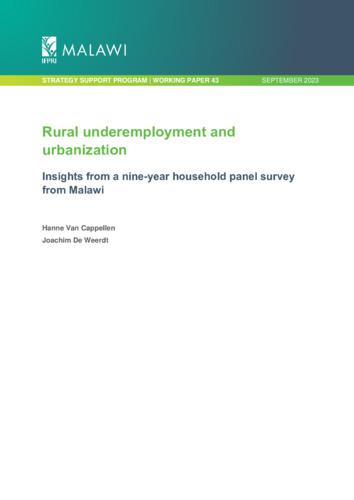 Rural underemployment and urbanization: Insights from a nine year household panel survey from Malawi