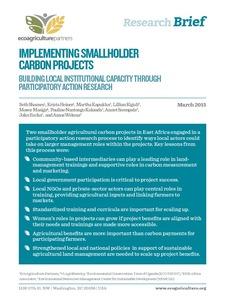 Implementing smallholder carbon projects: building local institutional capacity through participatory action research