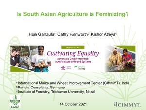 TH4.2: Is South Asian Agriculture Feminizing?