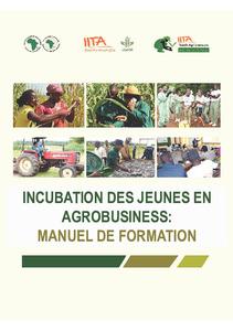 Incubation des jeunes en agrobusiness: manuel de formation