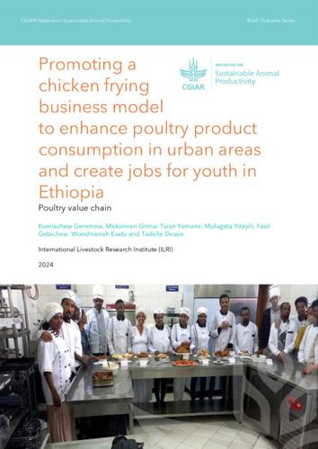 Promoting a chicken frying business model to enhance poultry product consumption in urban areas and create jobs for youth in Ethiopia