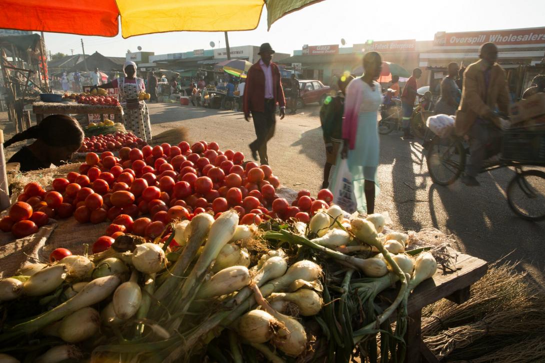Regional Food Safety Experts Call for Collaborative Approaches to Transforming Food Safety in African Wet Markets