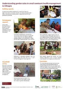 Understanding gender roles in small ruminant health management in Ethiopia