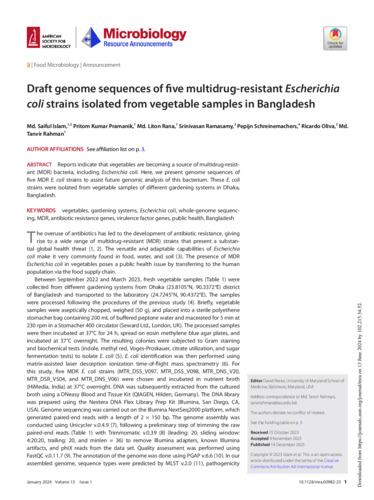 Draft genome sequences of five multidrug-resistant Escherichia  coli strains isolated from vegetable samples in Bangladesh