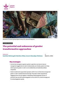 The potential and unknowns of gender transformative approaches