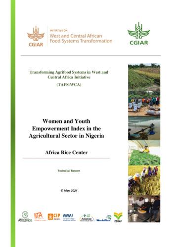 Women and Youth  Empowerment Index in the  Agricultural Sector in Nigeria