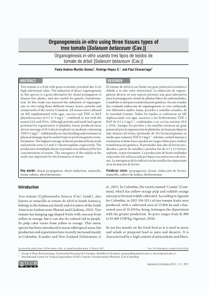 Organogenesis in-vitro using three tissues types of tree tomato [Solanum betaceum (Cav.)] = Organogénesis in-vitro usando tres tipos de tejidos de tomate de árbol [Solanum betaceum (Cav.)]